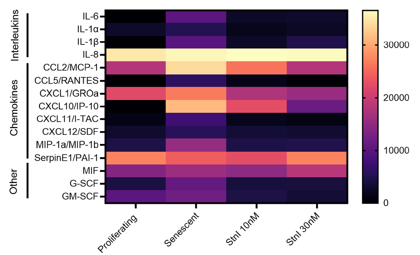 Del mundo marino a la aplicación clínica: el hallazgo de un veneno de las anémonas de mar para mejorar el tratamiento del cáncer